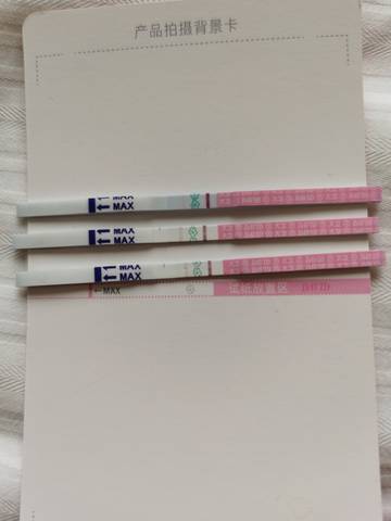 journal_insert_pic_1682553590