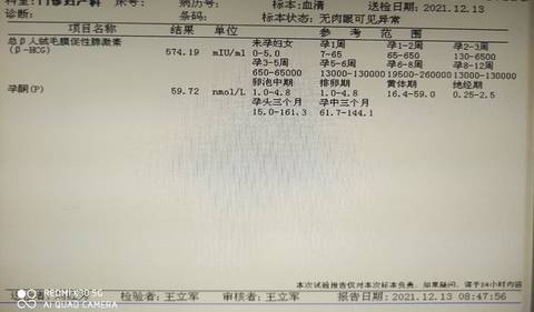journal_insert_pic_1679169621