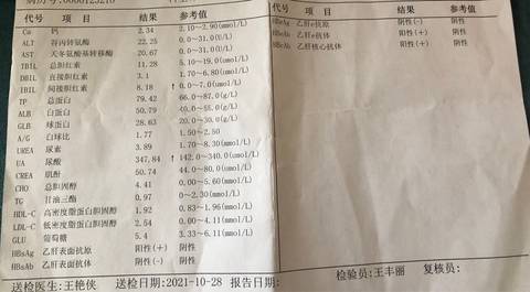 journal_insert_pic_1686527542