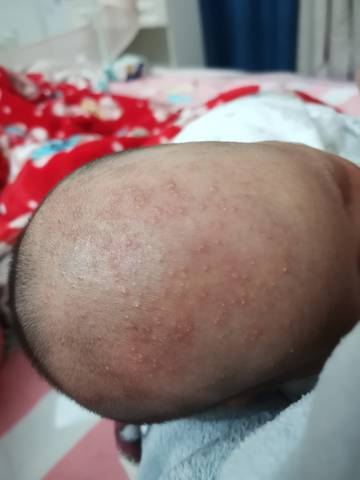 journal_insert_pic_1683989255