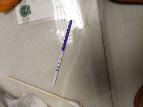 journal_insert_pic_1690257731