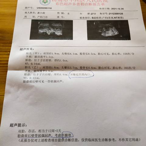 journal_insert_pic_1688910615