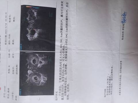 journal_insert_pic_1675959106