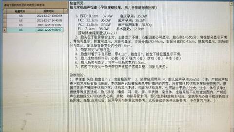 journal_insert_pic_1688420687
