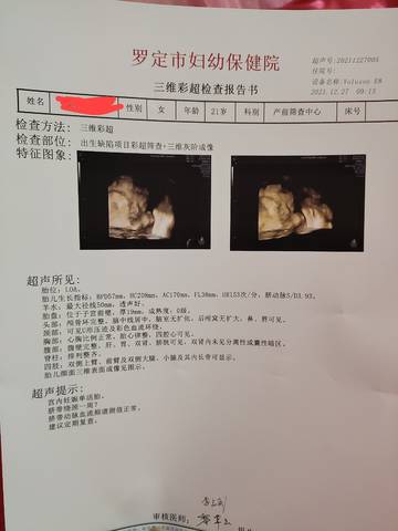 journal_insert_pic_1689394575