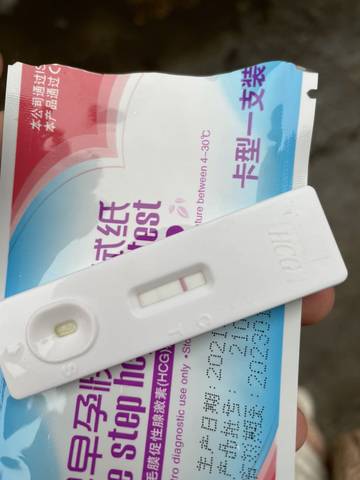 journal_insert_pic_1687876415