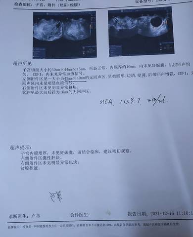 journal_insert_pic_1681059707