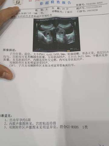 journal_insert_pic_1677590337