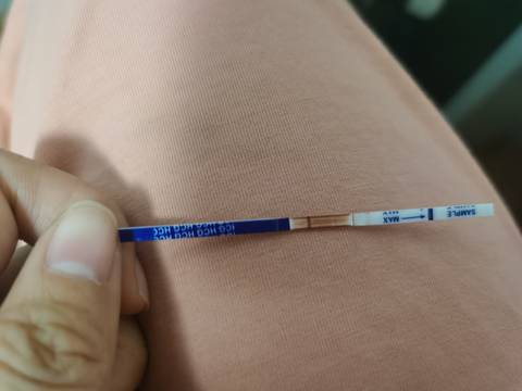 journal_insert_pic_1676016925