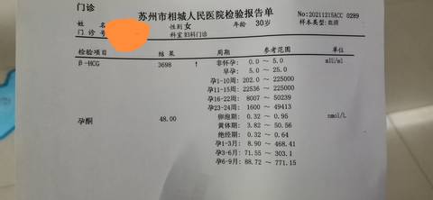 journal_insert_pic_1681770008