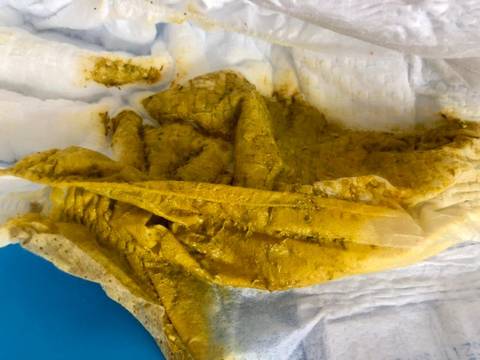 journal_insert_pic_1685955577