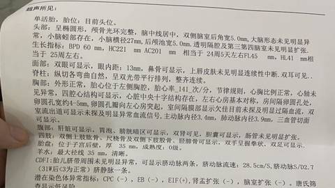 journal_insert_pic_1687214424