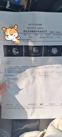 journal_insert_pic_1683626140
