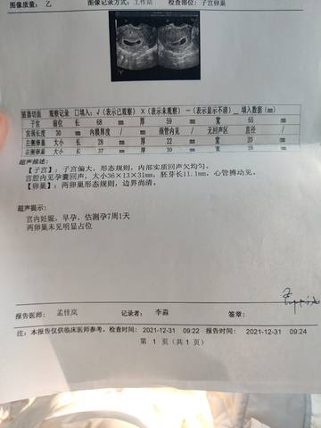 journal_insert_pic_1689425292