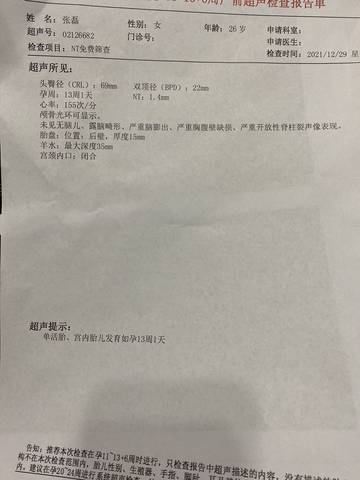 journal_insert_pic_1690204217