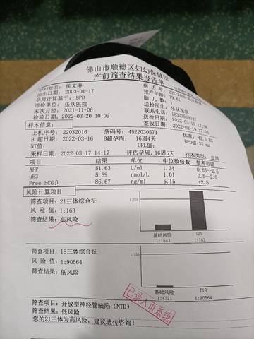 journal_insert_pic_1740825687