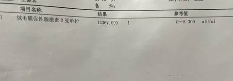 journal_insert_pic_1685532123
