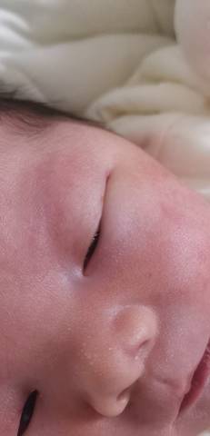 journal_insert_pic_1676322482