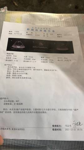 journal_insert_pic_1689935754