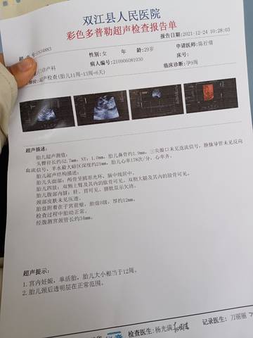 journal_insert_pic_1685196388
