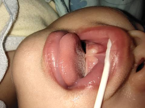 journal_insert_pic_1678731296