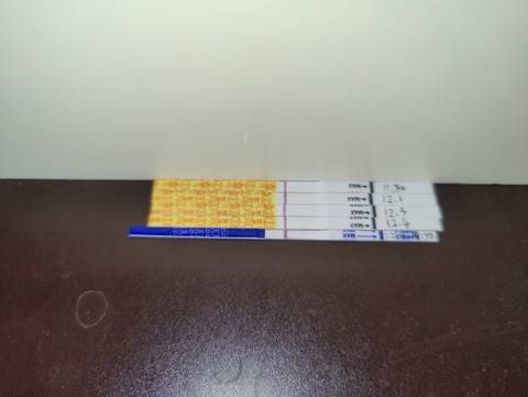 journal_insert_pic_1674270740
