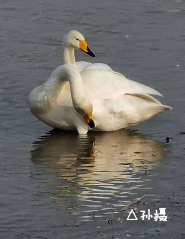 journal_insert_pic_1677582563