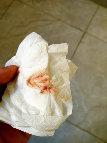 journal_insert_pic_1687796281