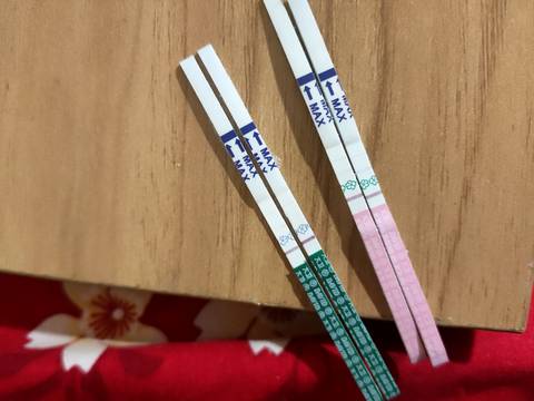 journal_insert_pic_1681012400