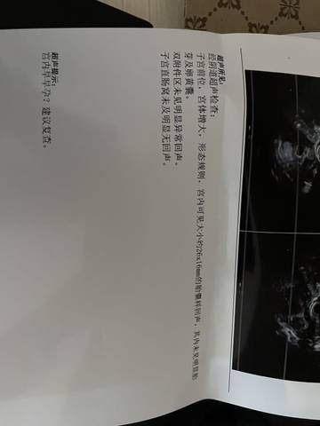 journal_insert_pic_1741045744