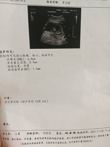 journal_insert_pic_1681368462