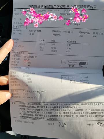 journal_insert_pic_1687360815
