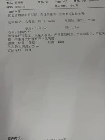 journal_insert_pic_1677956372