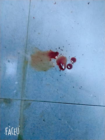 journal_insert_pic_1673868195