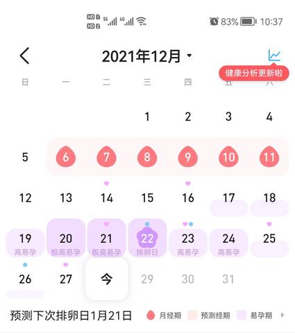 journal_insert_pic_1687597461