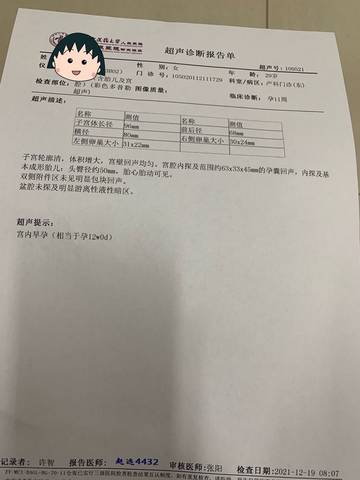 journal_insert_pic_1682484707