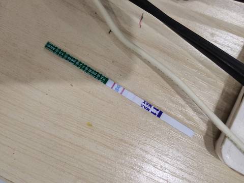 journal_insert_pic_1673352009