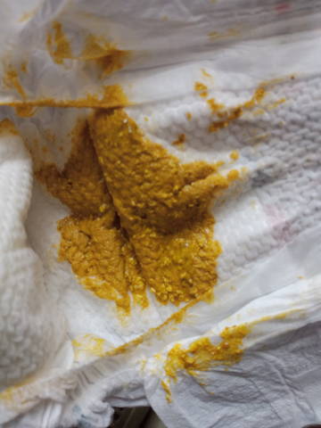 journal_insert_pic_1679311759