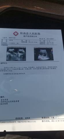 journal_insert_pic_1688964435