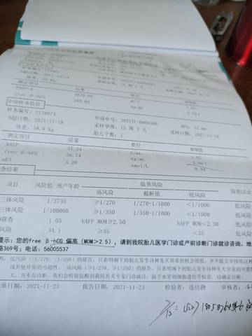 journal_insert_pic_1677294147