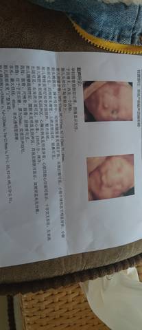 journal_insert_pic_1683033056