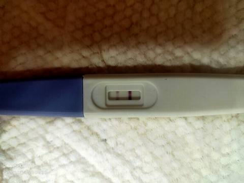 journal_insert_pic_1685723948