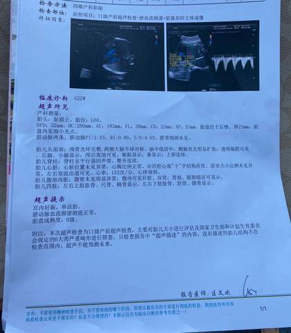 journal_insert_pic_1681252154