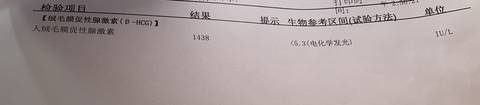 journal_insert_pic_1677382486