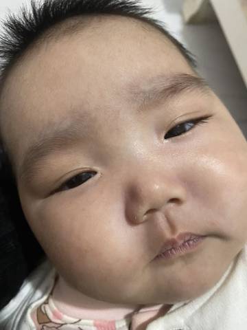 journal_insert_pic_1675635147