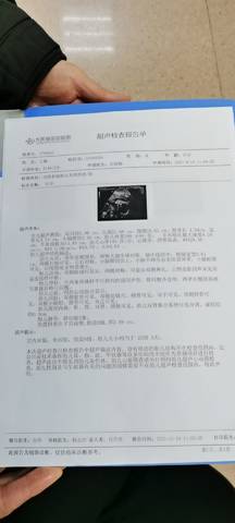 journal_insert_pic_1685287339