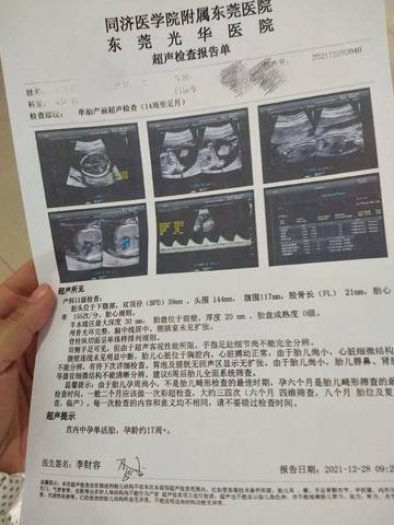 journal_insert_pic_1688802274