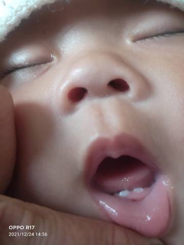 journal_insert_pic_1685327370