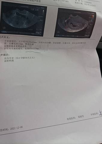 journal_insert_pic_1675903403