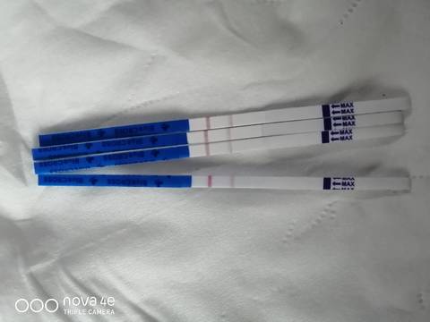 journal_insert_pic_1676546174